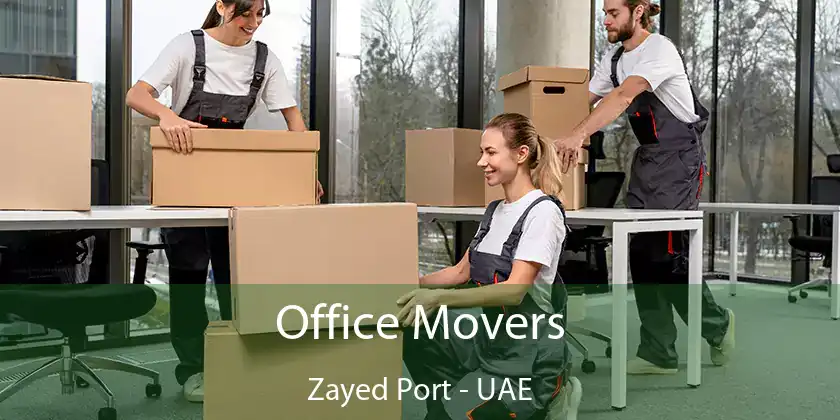  Office Movers Zayed Port - UAE