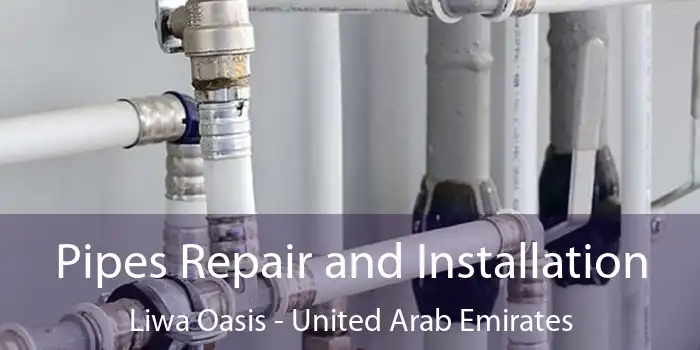 Pipes Repair and Installation Liwa Oasis - United Arab Emirates