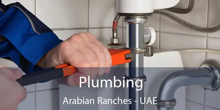 Plumbing Arabian Ranches - UAE