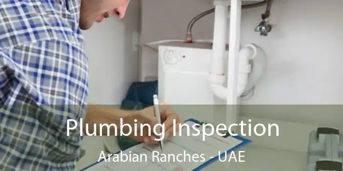  Plumbing Inspection Arabian Ranches - UAE