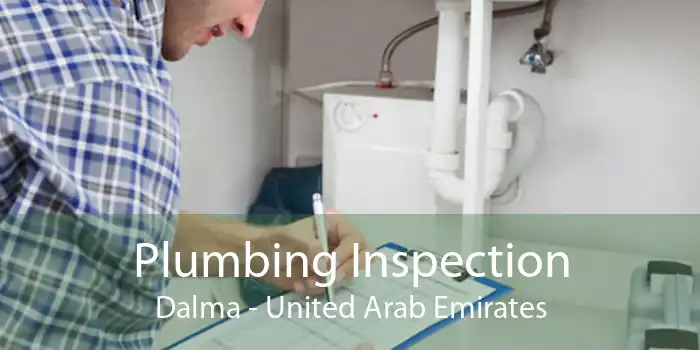 Plumbing Inspection Dalma - United Arab Emirates