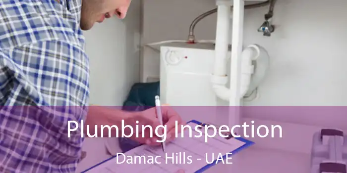  Plumbing Inspection Damac Hills - UAE