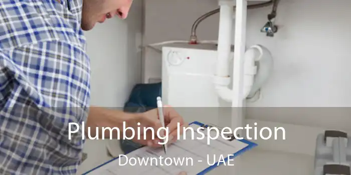  Plumbing Inspection Downtown - UAE