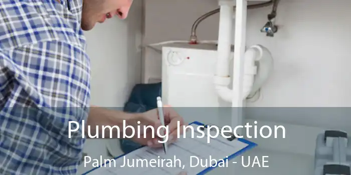Plumbing Inspection Palm Jumeirah, Dubai - UAE