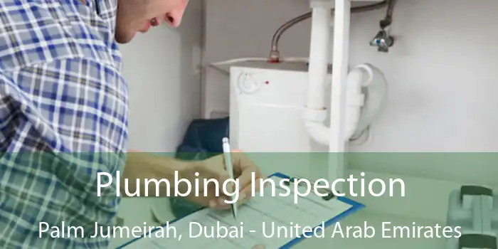 Plumbing Inspection Palm Jumeirah, Dubai - United Arab Emirates