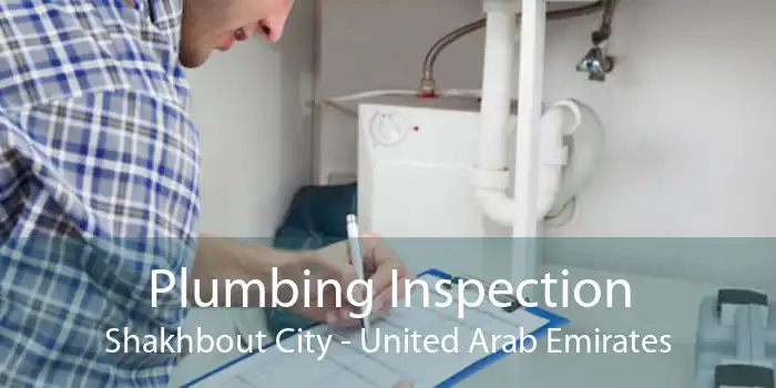 Plumbing Inspection Shakhbout City - United Arab Emirates