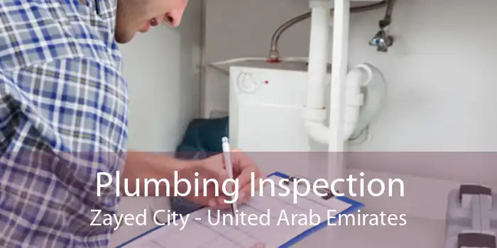 Plumbing Inspection Zayed City - United Arab Emirates