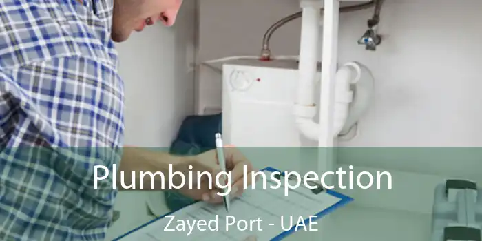  Plumbing Inspection Zayed Port - UAE