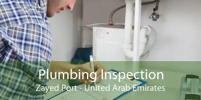 Plumbing Inspection Zayed Port - United Arab Emirates