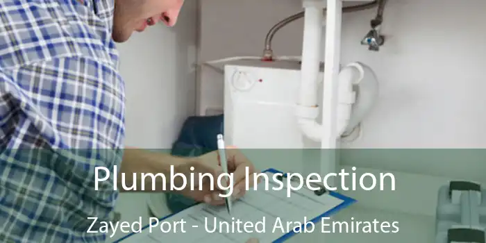 Plumbing Inspection Zayed Port - United Arab Emirates