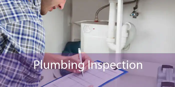 Plumbing Inspection 