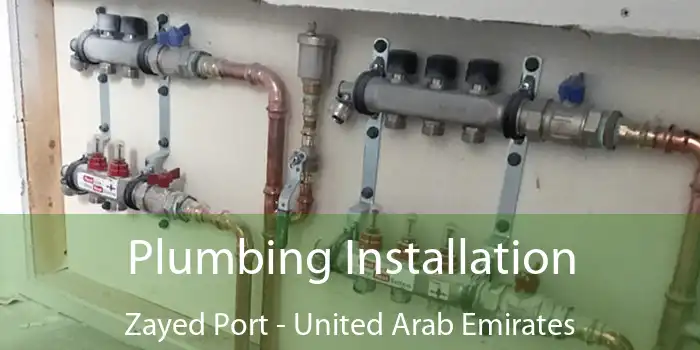 Plumbing Installation Zayed Port - United Arab Emirates