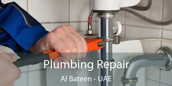  Plumbing Repair Al Bateen - UAE