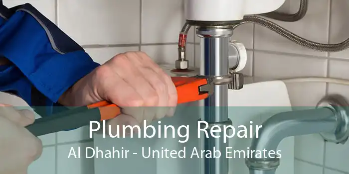 Plumbing Repair Al Dhahir - United Arab Emirates