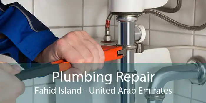 Plumbing Repair Fahid Island - United Arab Emirates
