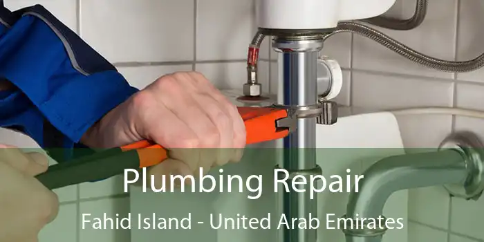 Plumbing Repair Fahid Island - United Arab Emirates