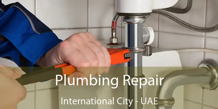 Plumbing Repair International City - UAE