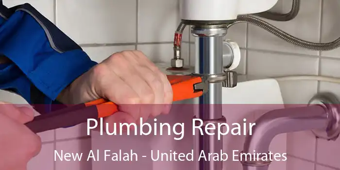 Plumbing Repair New Al Falah - United Arab Emirates