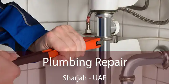  Plumbing Repair Sharjah - UAE