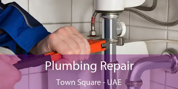  Plumbing Repair Town Square - UAE