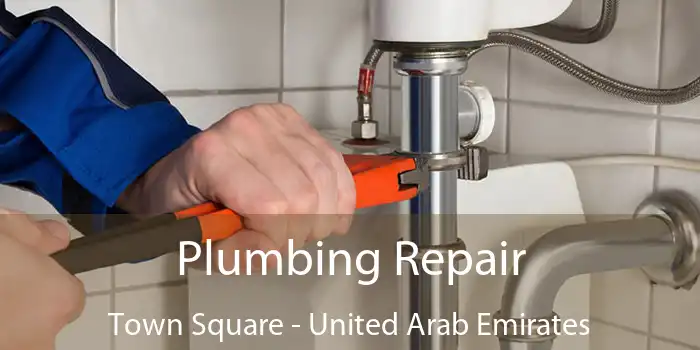 Plumbing Repair Town Square - United Arab Emirates