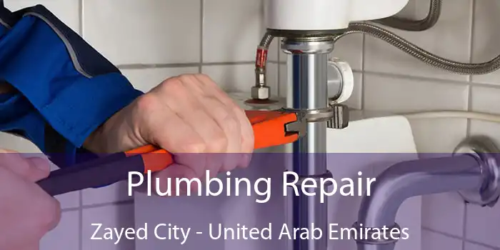 Plumbing Repair Zayed City - United Arab Emirates