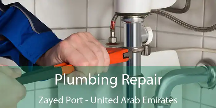 Plumbing Repair Zayed Port - United Arab Emirates