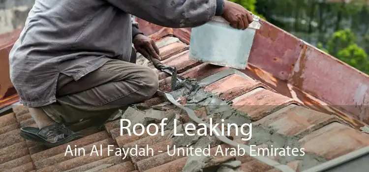 Roof Leaking Ain Al Faydah - United Arab Emirates
