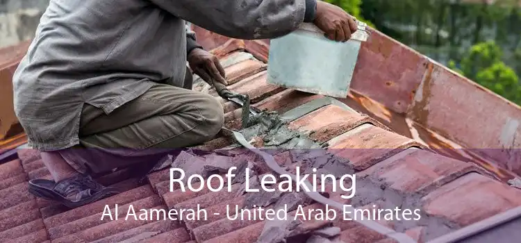 Roof Leaking Al Aamerah - United Arab Emirates