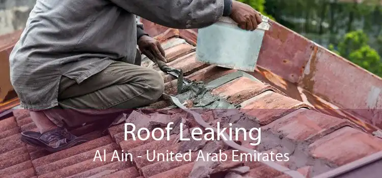 Roof Leaking Al Ain - United Arab Emirates
