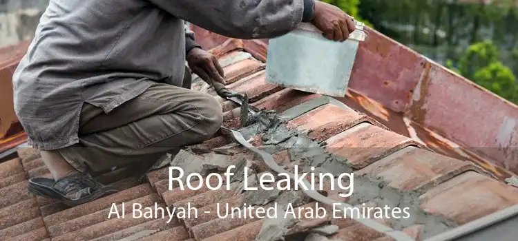 Roof Leaking Al Bahyah - United Arab Emirates