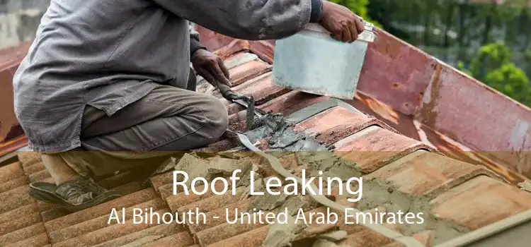 Roof Leaking Al Bihouth - United Arab Emirates