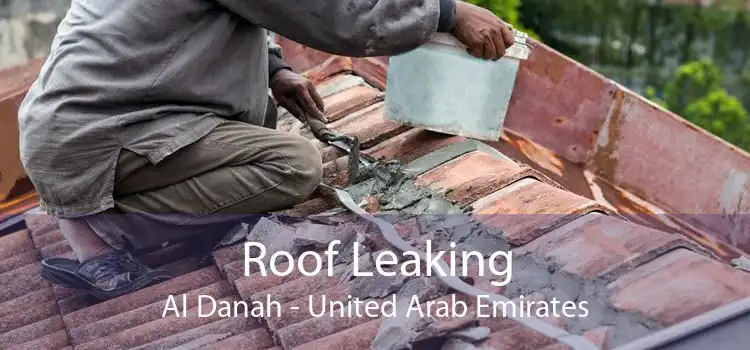 Roof Leaking Al Danah - United Arab Emirates