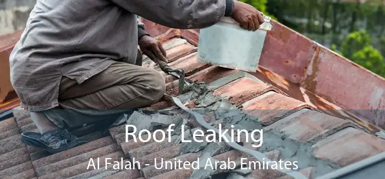 Roof Leaking Al Falah - United Arab Emirates