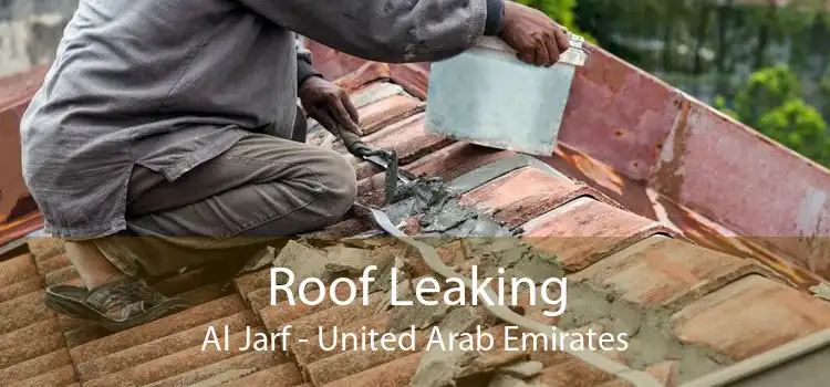 Roof Leaking Al Jarf - United Arab Emirates