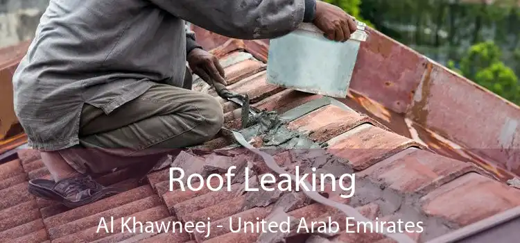 Roof Leaking Al Khawneej - United Arab Emirates