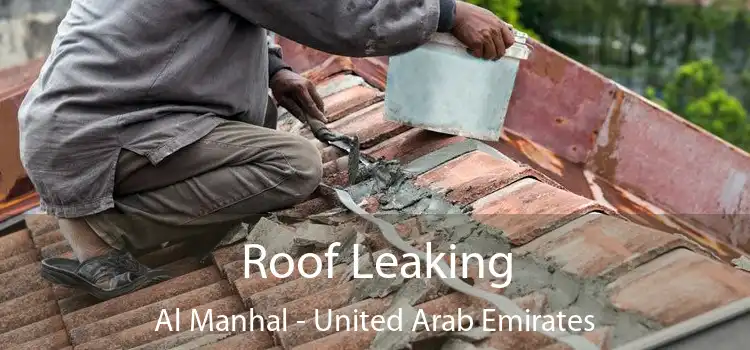 Roof Leaking Al Manhal - United Arab Emirates