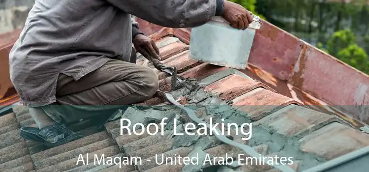 Roof Leaking Al Maqam - United Arab Emirates