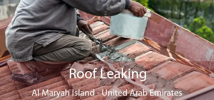 Roof Leaking Al Maryah Island - United Arab Emirates