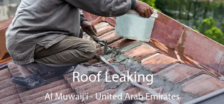 Roof Leaking Al Muwaij'i - United Arab Emirates