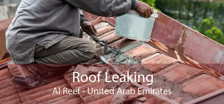 Roof Leaking Al Reef - United Arab Emirates