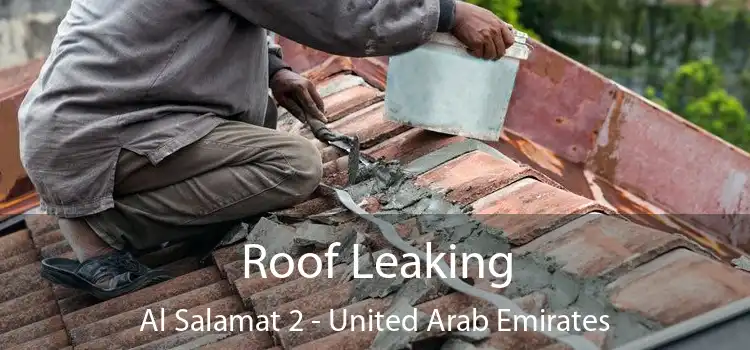 Roof Leaking Al Salamat 2 - United Arab Emirates