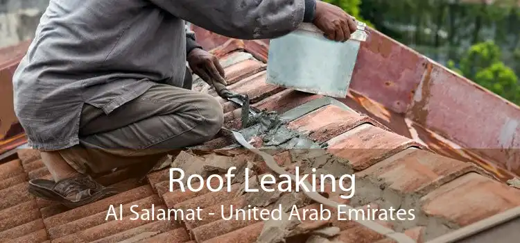 Roof Leaking Al Salamat - United Arab Emirates
