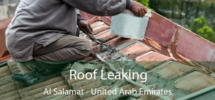 Roof Leaking Al Salamat - United Arab Emirates