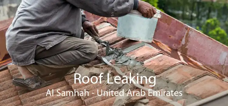 Roof Leaking Al Samhah - United Arab Emirates