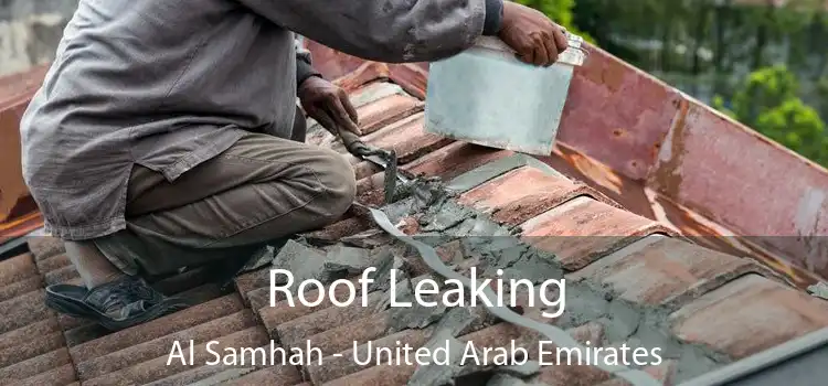 Roof Leaking Al Samhah - United Arab Emirates