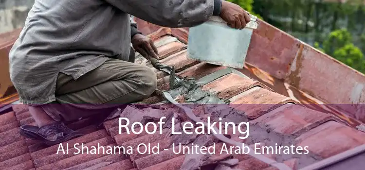 Roof Leaking Al Shahama Old - United Arab Emirates