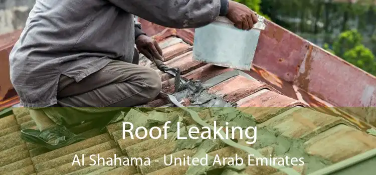 Roof Leaking Al Shahama - United Arab Emirates