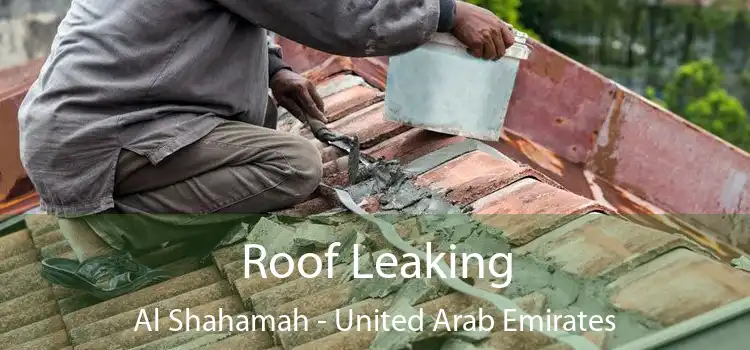 Roof Leaking Al Shahamah - United Arab Emirates