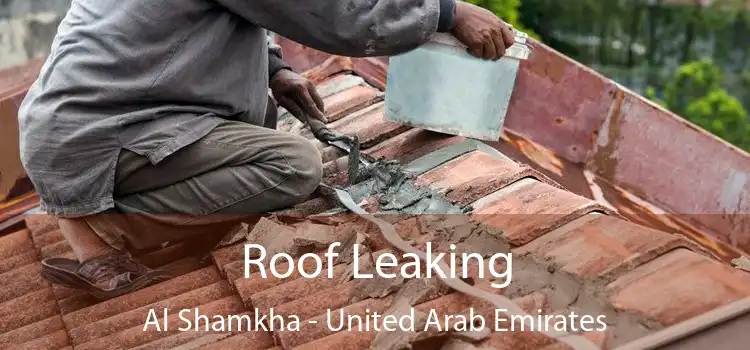 Roof Leaking Al Shamkha - United Arab Emirates